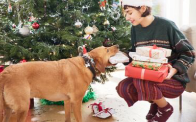 Regalos para mascotas (y sus dueños): accesorios prácticos y útiles para perros y gatos